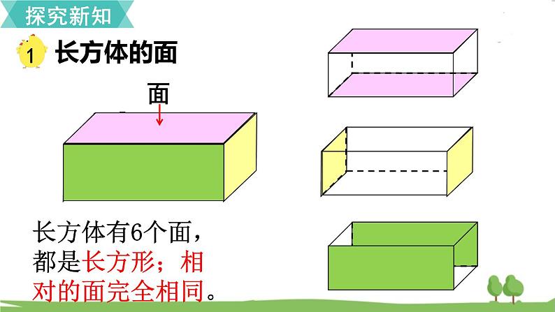 第1课时 长方体和正方体的认识第5页