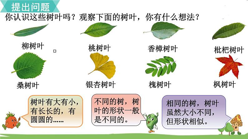 树叶中的比第3页