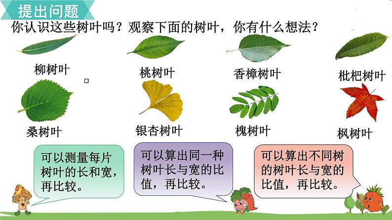 树叶中的比第5页