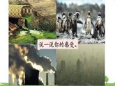 西師大版數(shù)學4年級上冊 第六單元 條形統(tǒng)計圖 綜合與實踐   驚人的危害 PPT課件