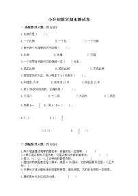 小升初数学期末测试卷带答案（夺分金卷）