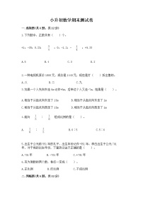 小升初数学期末测试卷附参考答案（研优卷）