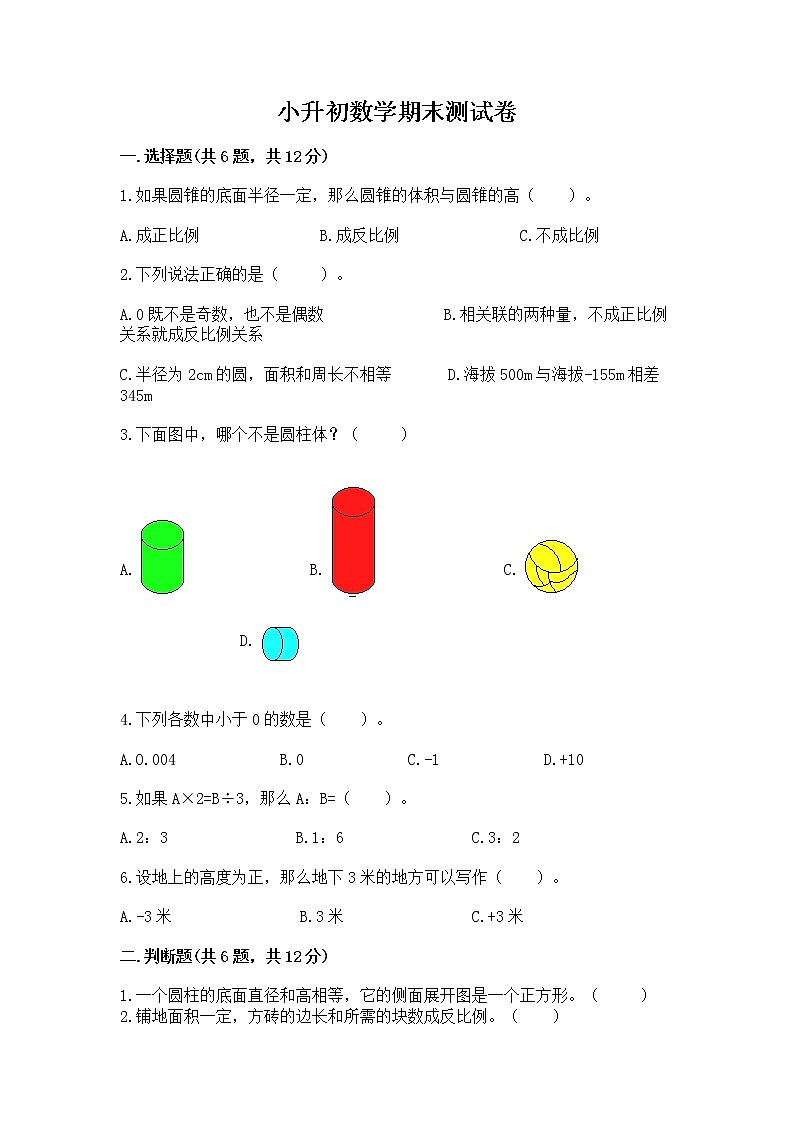 小升初数学期末测试卷附参考答案（培优b卷）01
