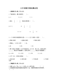 小升初数学期末测试卷附参考答案（黄金题型）