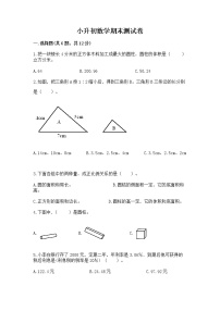 小升初数学期末测试卷（考点提分）