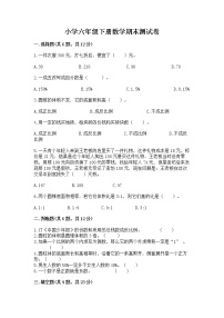 小学六年级下册数学期末测试卷含答案【轻巧夺冠】