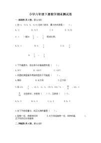 小学六年级下册数学期末测试卷附答案【培优a卷】