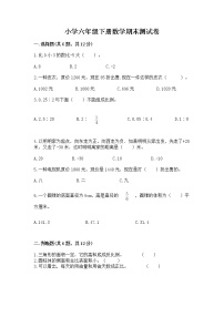 小学六年级下册数学期末测试卷附完整答案（精选题）