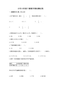 小学六年级下册数学期末测试卷含完整答案（典优）