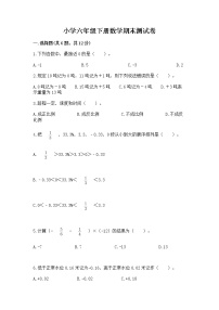 小学六年级下册数学期末测试卷精品【黄金题型】