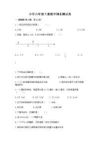 小学六年级下册数学期末测试卷附答案【基础题】