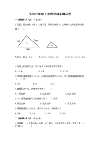 小学六年级下册数学期末测试卷含完整答案【名校卷】