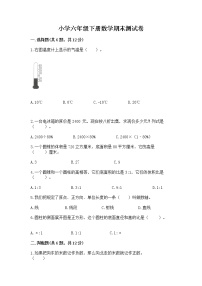 小学六年级下册数学期末测试卷附完整答案【有一套】