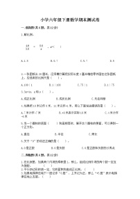 小学六年级下册数学期末测试卷附答案【名师推荐】