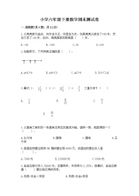 小学六年级下册数学期末测试卷含完整答案（全国通用）