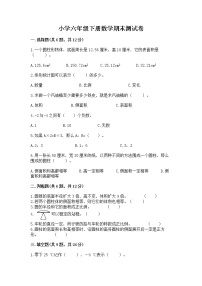 小学六年级下册数学期末测试卷附完整答案（必刷）