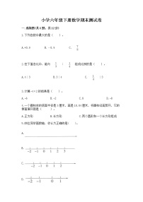 小学六年级下册数学期末测试卷含答案【基础题】