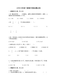 小学六年级下册数学期末测试卷附完整答案（网校专用）