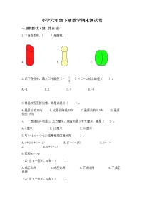 小学六年级下册数学期末测试卷附完整答案【名师系列】