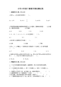 小学六年级下册数学期末测试卷含答案【考试直接用】