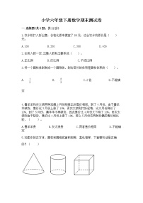 小学六年级下册数学期末测试卷及参考答案【新】