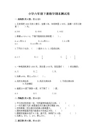 小学六年级下册数学期末测试卷精品【能力提升】