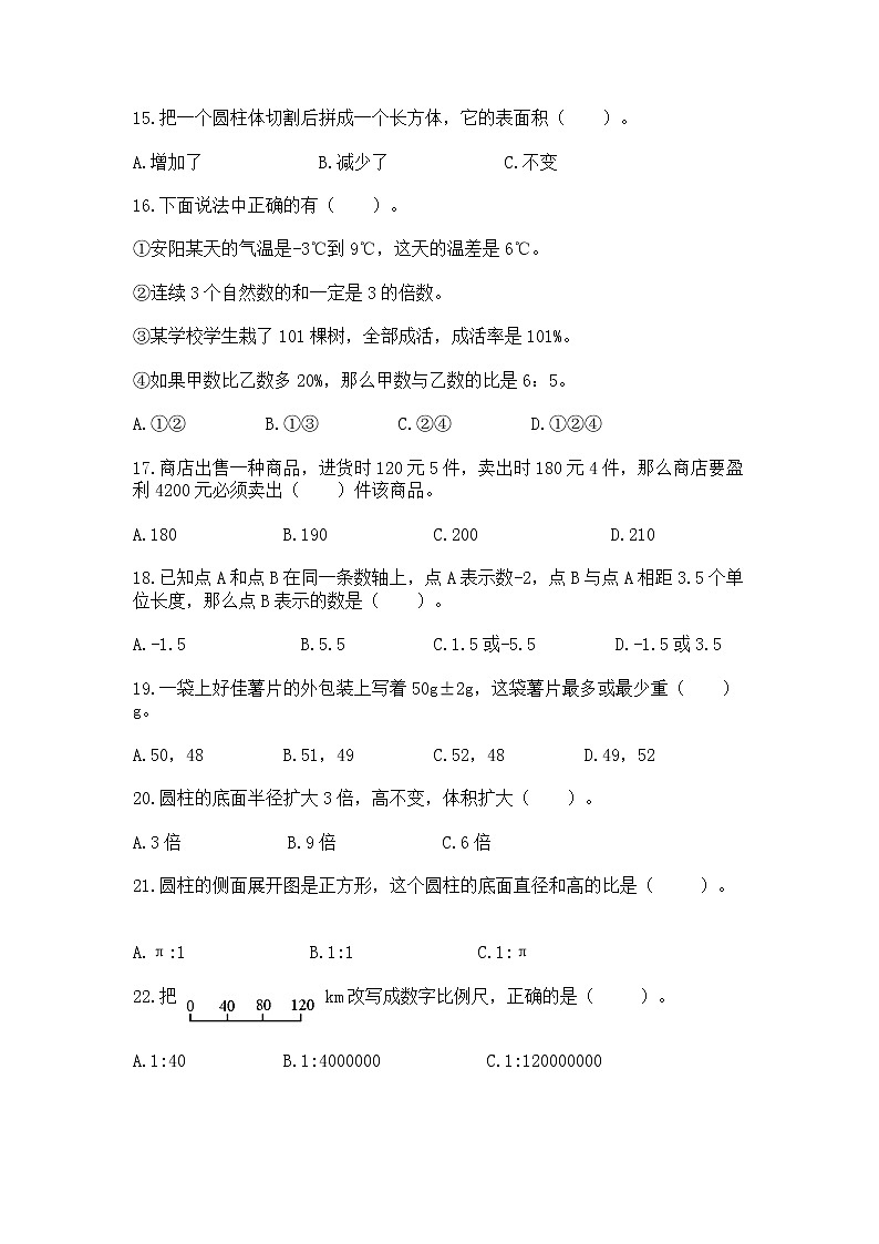 小升初基础知识选择题专项练习50道（实验班）第3页