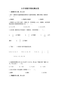 小升初数学期末测试卷及参考答案（b卷）