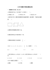 小升初数学期末测试卷及参考答案（黄金题型）