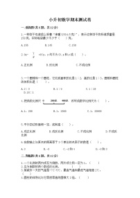 小升初数学期末测试卷及参考答案【a卷】