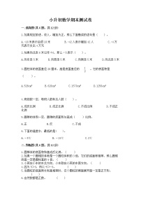 小升初数学期末测试卷及参考答案【精练】