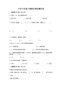 小学六年级下册数学期末测试卷含完整答案【名师系列】