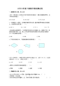 小学六年级下册数学期末测试卷含完整答案【各地真题】