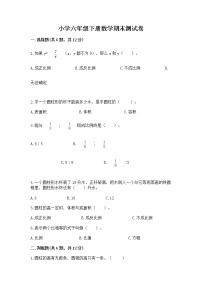 小学六年级下册数学期末测试卷精品（网校专用）