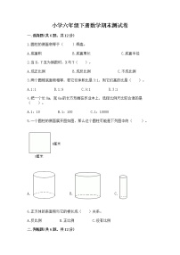 小学六年级下册数学期末测试卷精品【实用】