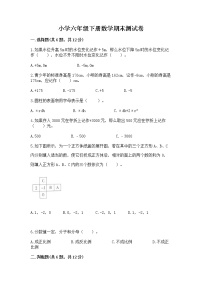 小学六年级下册数学期末测试卷精品【突破训练】