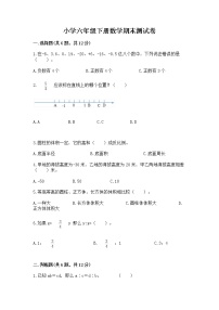 小学六年级下册数学期末测试卷含完整答案【网校专用】