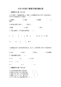 小学六年级下册数学期末测试卷精品【名师系列】