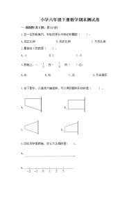 小学六年级下册数学期末测试卷含完整答案【易错题】