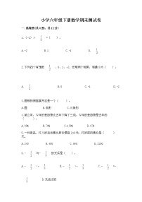 小学六年级下册数学期末测试卷精品（易错题）