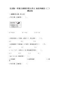 小学数学北京版一年级上册九 加法和减法（二）精品当堂检测题