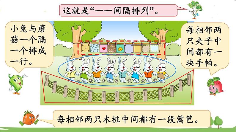 苏教版数学3年级上册 5.4 探索规律  间隔排列 PPT课件+教案04