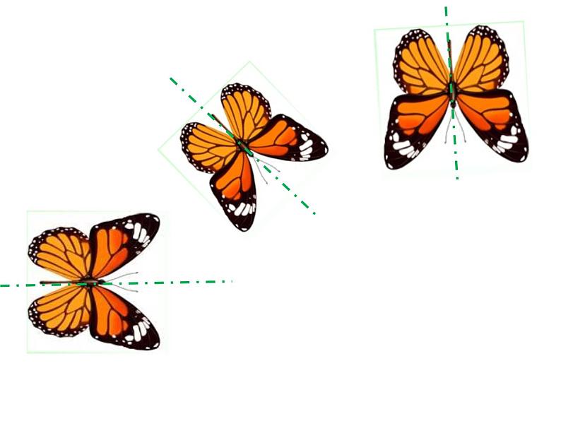 三年级下册数学课件-2.1  轴对称图形（共36张）    ︳青岛版05