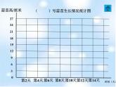 四年级数学下册课件-6.3 栽蒜苗（二）（2）-北师大版