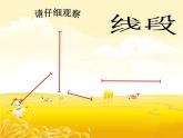 一年级下册数学课件-5.5   线段  ▏沪教版  (共32张PPT)