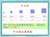 【沪教版五年制】二年级上册第六单元  数学广场 点图与数 ppt课件1