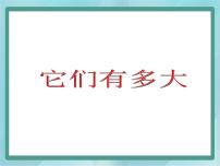 沪教版 (五四制)三年级上册它们有多大备课ppt课件