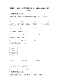 冀教版九 20以内的减法当堂检测题