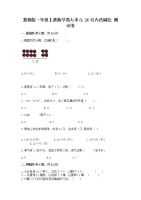 冀教版一年级上册九 20以内的减法练习题