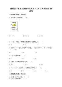 冀教版一年级上册九 20以内的减法复习练习题